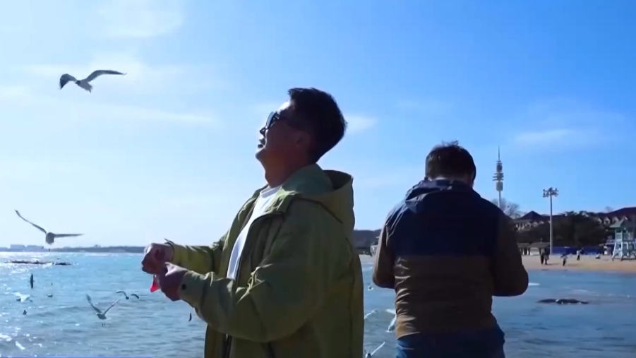 �ŷ��ݡ��ۺ�Ÿ��������̤�ྡ�����ղ�������