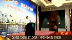 G20��ᵹ��ʱ100�죺����ý��۽�����