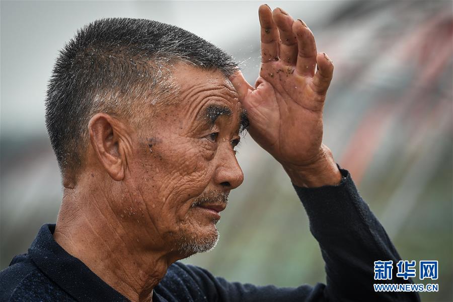 搬开贫困“大石头”——江苏罗老汉脱贫记 搬开贫困“大石头”——江苏罗老汉脱贫记