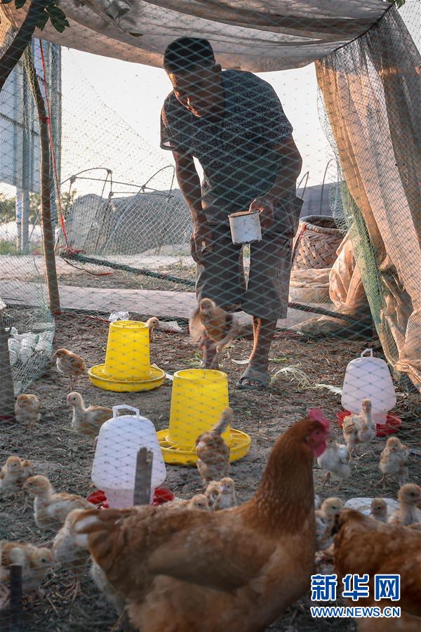 搬开贫困“大石头”——江苏罗老汉脱贫记 搬开贫困“大石头”——江苏罗老汉脱贫记