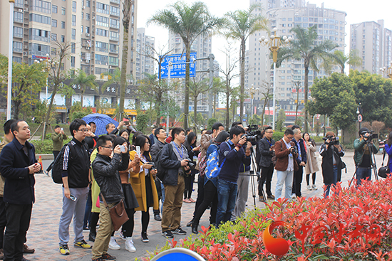 全国网络媒体闽东茶乡行采访启动 以茶为媒展示海丝风情 全国网络媒体闽东茶乡行采访启动 以茶为媒展示海丝风情