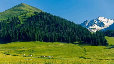 ������������Ƕ���һ���ˡ���һλ̨�������ʦ���½��бʼ�