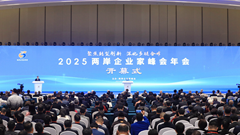 九、2025两岸企业家峰会年会举行，协助台商台企融入新发展格局