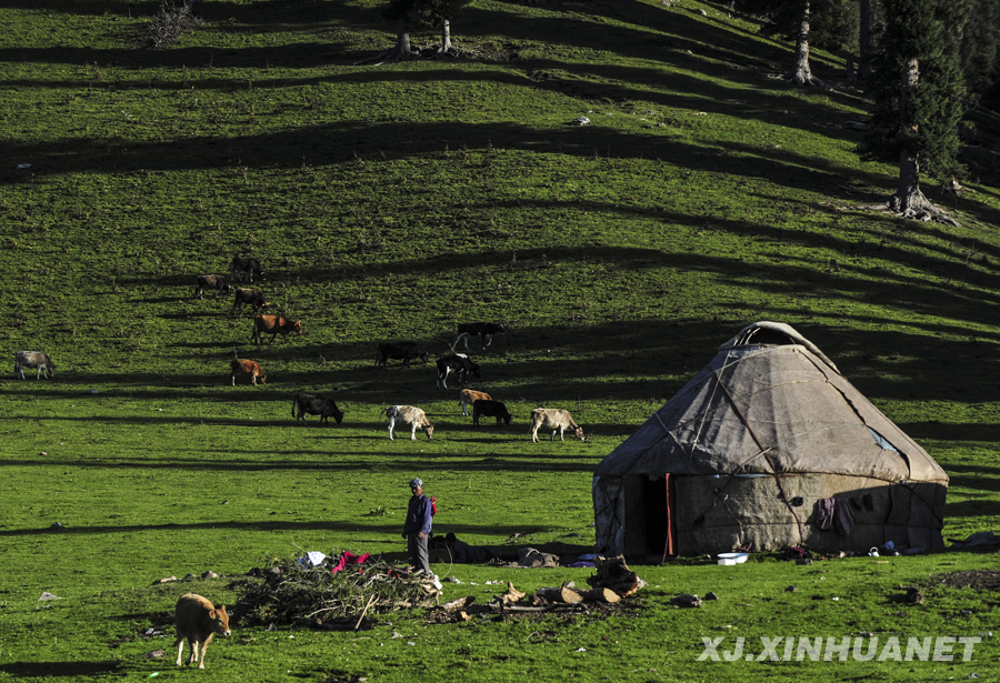 �����½��������������ҵ�츣����