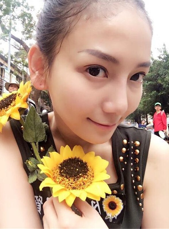 刘乔安跨境卖淫风波 刘乔安跨境卖淫风波