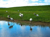 5����ʪ�� - ���� - ����.jpg