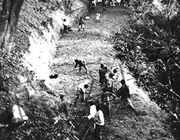 ȫ忹ս ϵ():幫· սѪߡ