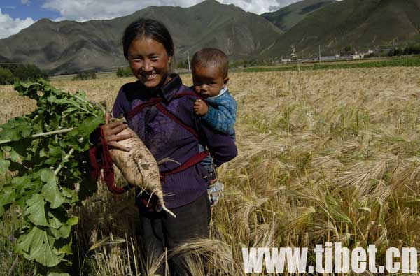 豳ԼĺӣŷյĹʵ鲻Խ͸ϲõЦݡ