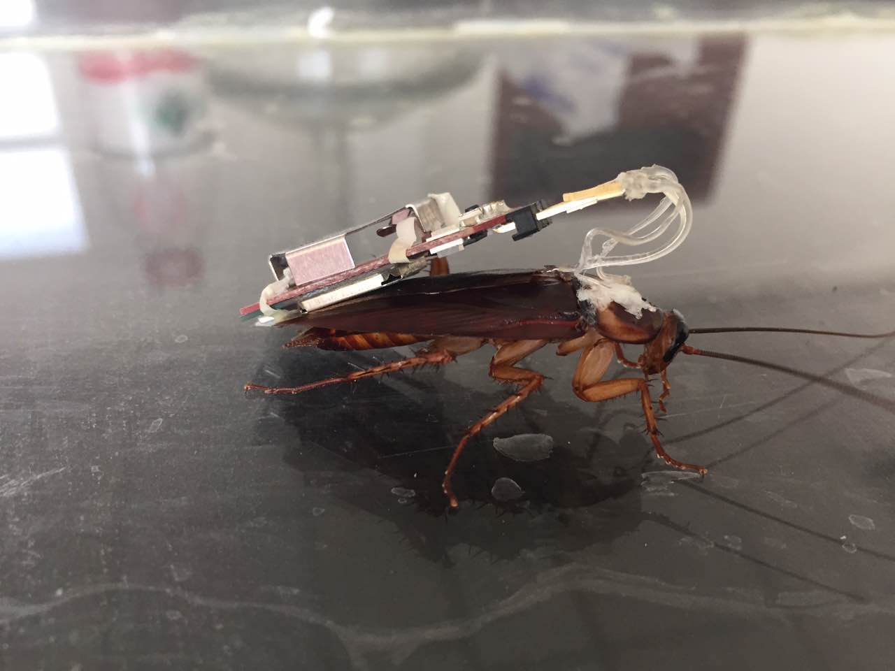 650155257.jpg 650155257.jpg