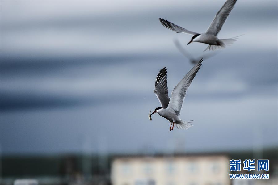 (ͼĻ)(10)ʱΰ˵׳¡дڡйΡ֮