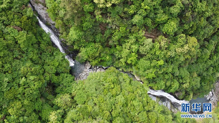 (在习近平新时代中国特色社会主义思想指引下——新时代新作为新篇章·习近平总书记关切事·图文互动)(6)长三角的新答卷——“十三五”收官之年的长三角一体化新故事