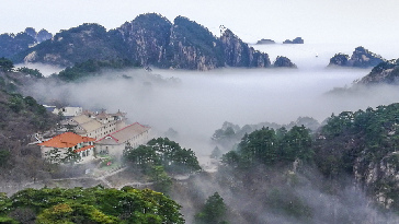 ˼  ߣҶ(ղؽ)_1.jpg