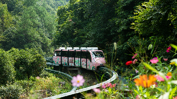 ������ѩ�ɽ�������Ҹ��쳵�۹�С�� (2)_����1.jpg