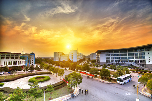 �Ͼ���ҽҩ��ѧ