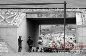 �����·��������8�³�̨