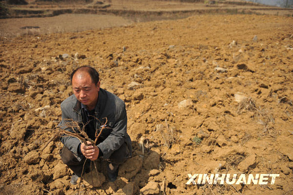 3��12�գ��ڹ���ˮ�����İ����Զ���ʯĮ���ۺ������Ե���Ŀ����������ҵվվ�������鿴����������������������ʯĮ��������2500Ķ�����ֳ���һ������ȫ������