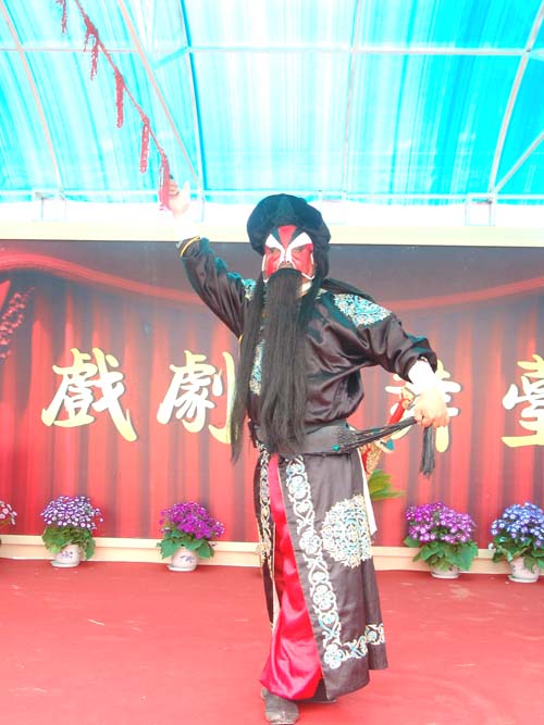 河南民间戏曲大平调表演中的宋太祖赵匡胤形