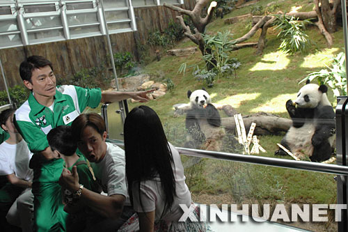 7��1�գ���ۺ���԰������������ʹ���»���ͬ��һ�����ô���è԰����ۼ�ͥ�롰ӯӯ�������֡����档 ���գ���ۺ���԰���д���è԰��Ļ���������������͸���������Ĵ���è��ӯӯ���͡����֡���ʼ�����������档