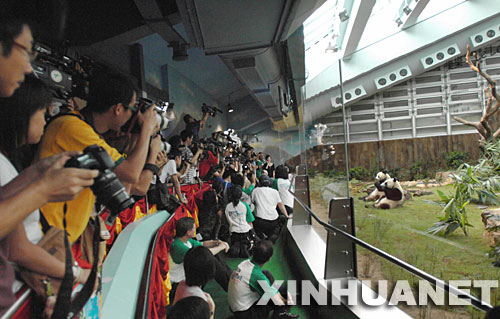 7��1�գ��ڶ�ý������������è��ӯӯ���͡����֡��� ���գ���ۺ���԰���д���è԰��Ļ���������������͸���������Ĵ���è��ӯӯ���͡����֡���ʼ�����������档