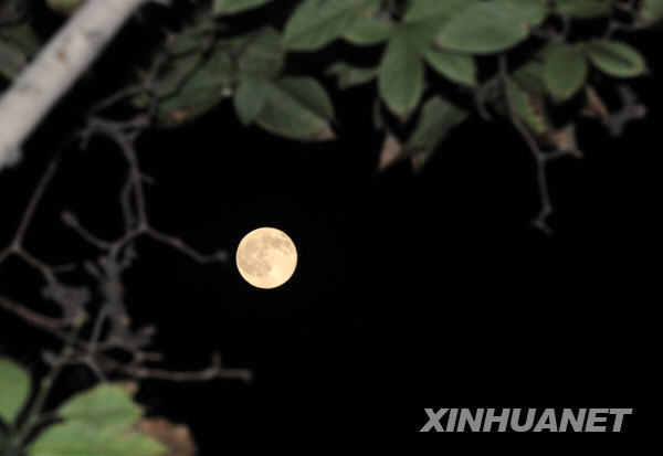 104һԲ¡ũʮ׻˵ʮʮԲӡ֤ϻ