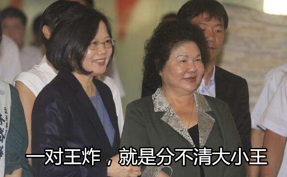 蔡英文为摆平派系内斗 请民进党大佬掌台湾油电