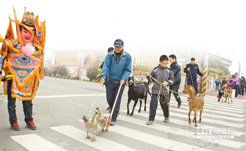 台湾迎来开学日“终极鸭班”来报到（图）