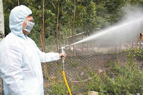 台东确认禽流感养鸡场全面扑杀消毒（图）