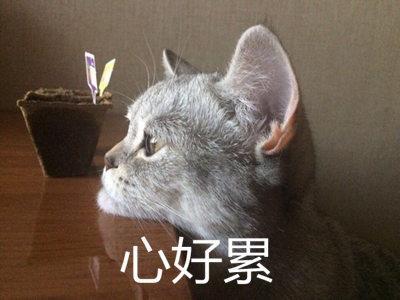 ˵塷Ҿſɱһ¡