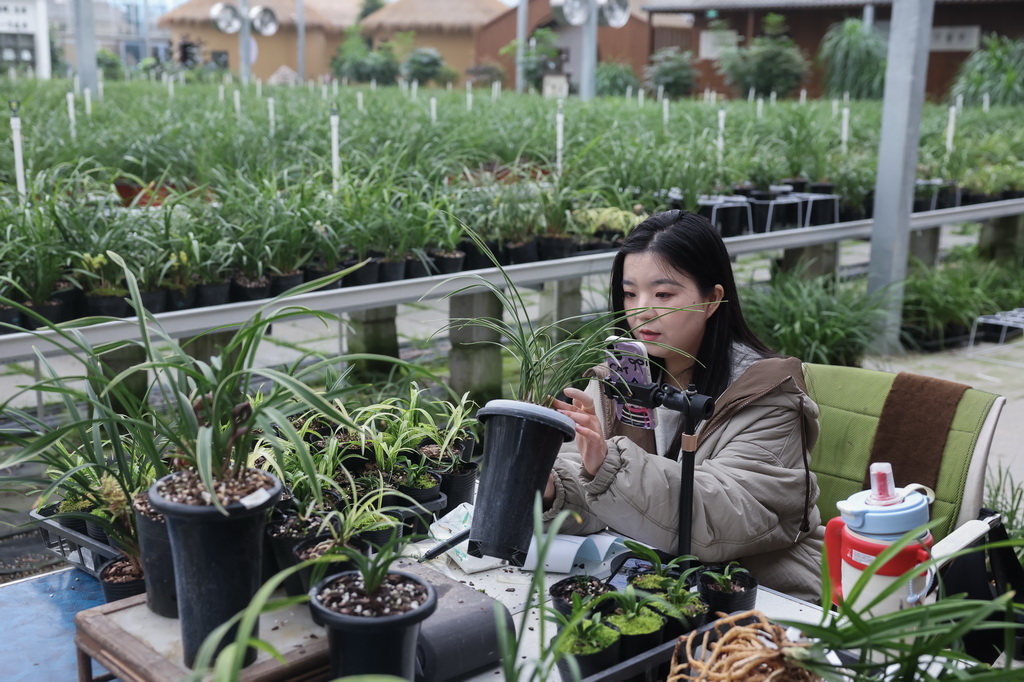 12��23�գ���λ���㽭ʡ�����п����������Ĺ�����ͥũ���ڣ������ڽ���ֱ�����ۡ�