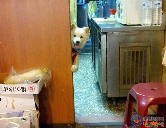  湺̨˹̽ͷȥϰ