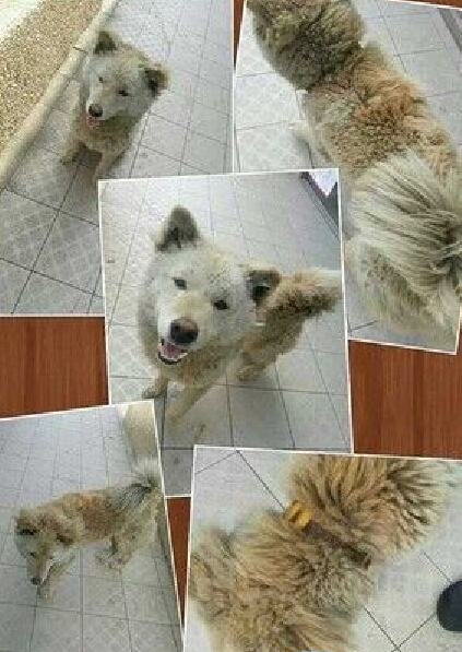  湺̨˹̽ͷȥϰ