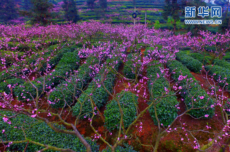 ������ý����ת�ģ�������� ����üɽ�ߵ�Զ�����һ�