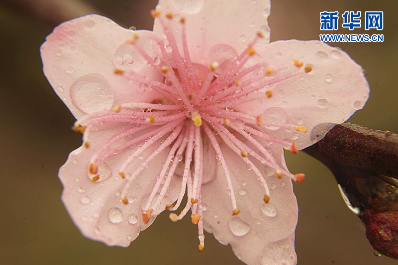 ������ý����ת�ģ�������� ����üɽ�ߵ�Զ�����һ�