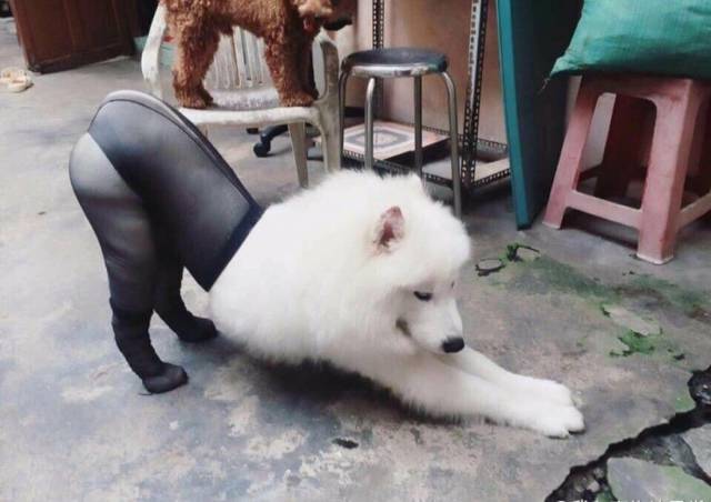 ۾ͼƬж...