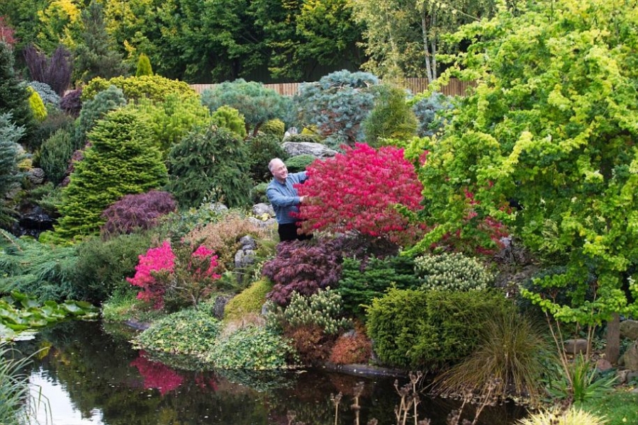 英国老人花25年打造梦境花园 每天从早干到晚