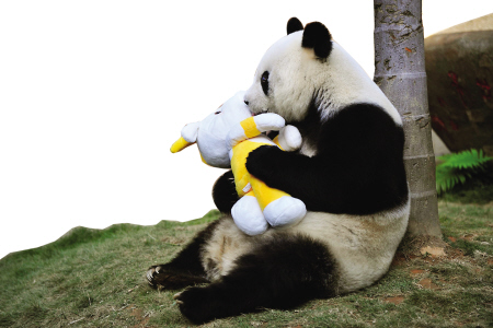 熊猫巴斯亮相亚运会