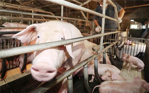 频道首页推荐_中国台湾网