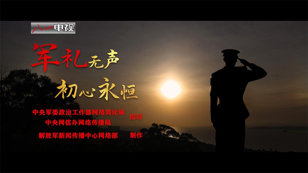 我是一个兵|军礼