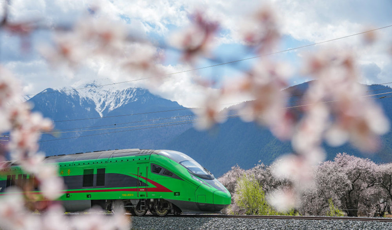 2025��4��2�գ����˺��г�������������·��֥�Ρ�