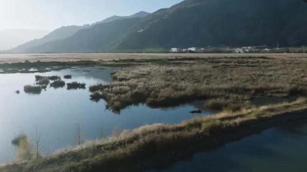 西藏拉萨:拉鲁湿地生态保护成效显著 西藏拉萨:拉鲁湿地生态保护成效显著