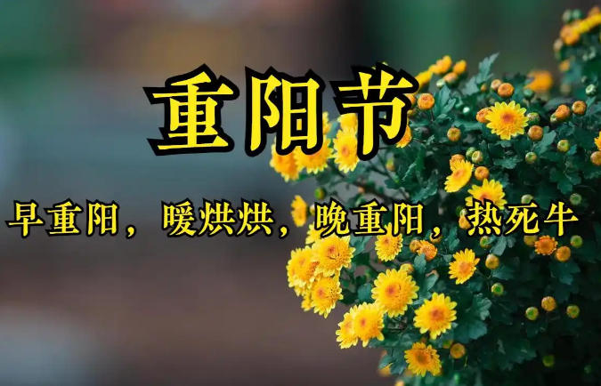 ��������ů��棬������������ţ�����������ڣ��绹��������ɶ˵����
