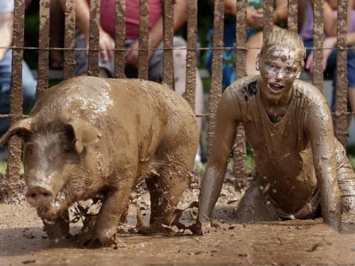 发力轻财物形式和机制立异 新五丰稳步推动饲养规划扩张