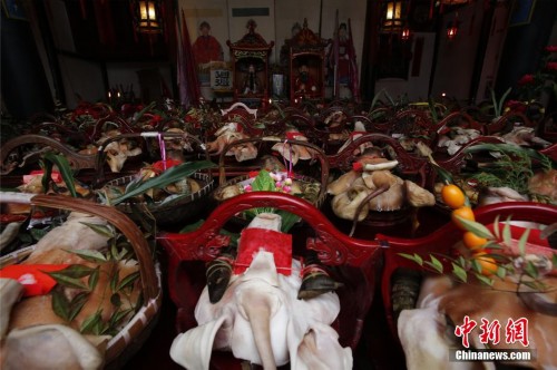 浙江淳安朱熹后人百只猪头祭祖