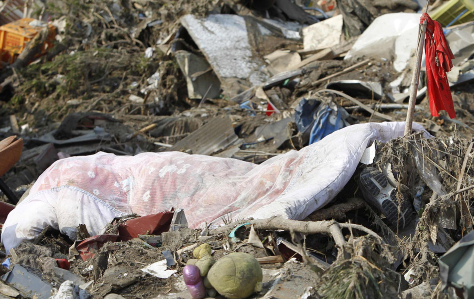 日本大地震后的惨状(组图)