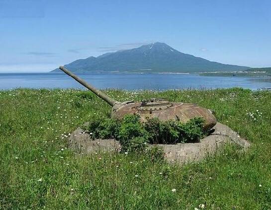 新闻中心 国际  莫斯科卡内基中心亚洲项目负责人亚历山大·加布耶夫