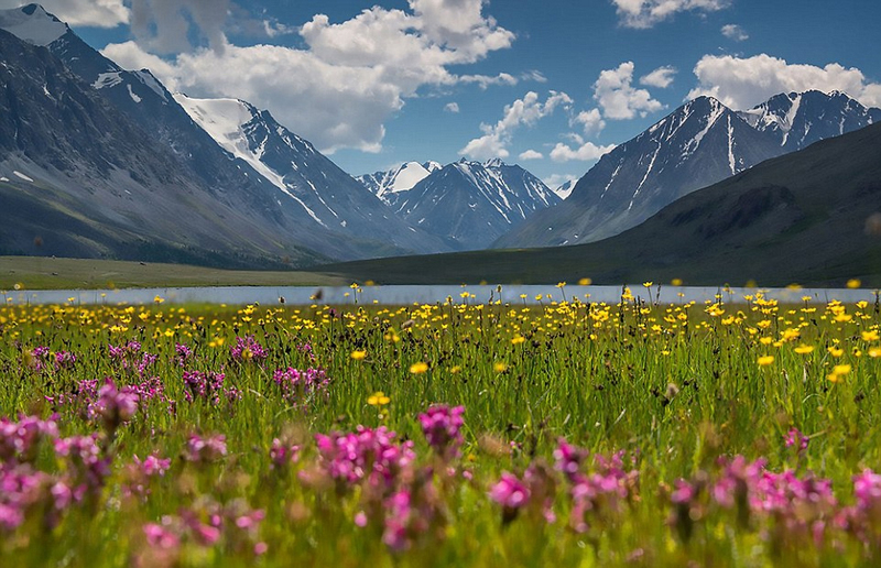 俄女摄影师镜头里的山区宛若仙境,美得让人窒息(图)