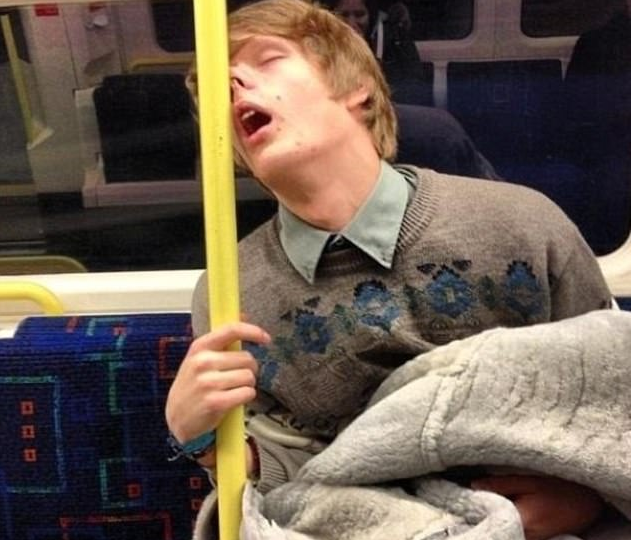 别再说自己困成狗 看看这些真正的睡神!