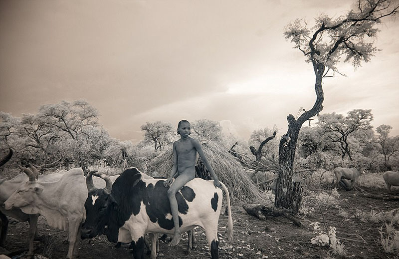 骑在牛背上的苏瑞男孩.