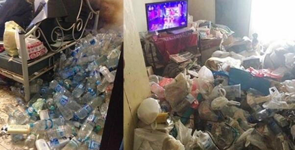 7��ֲ������ع⣡����ʽ�������������� ����������:���Ϲ�