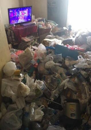 7��ֲ������ع⣡����ʽ�������������� ����������:���Ϲ�